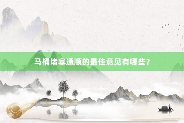 马桶堵塞通顺的最佳意见有哪些？