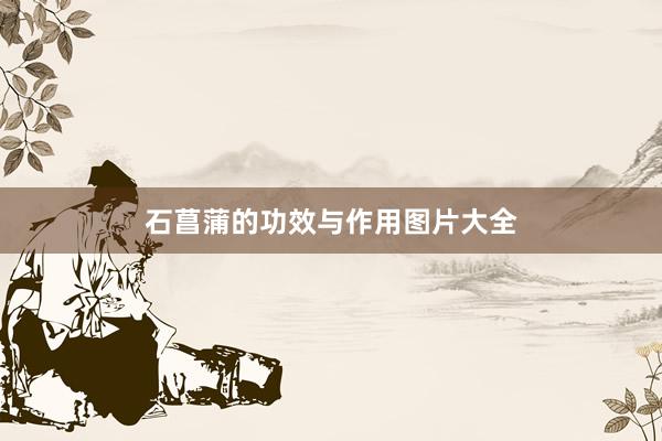 石菖蒲的功效与作用图片大全