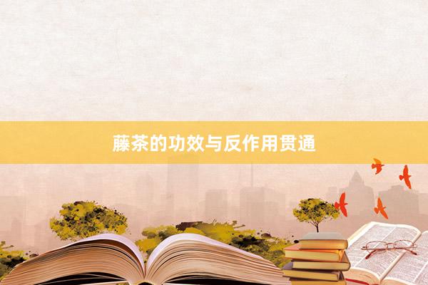 藤茶的功效与反作用贯通